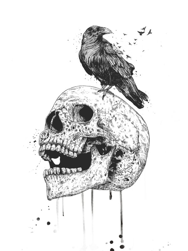 NEW SKULL (BW)