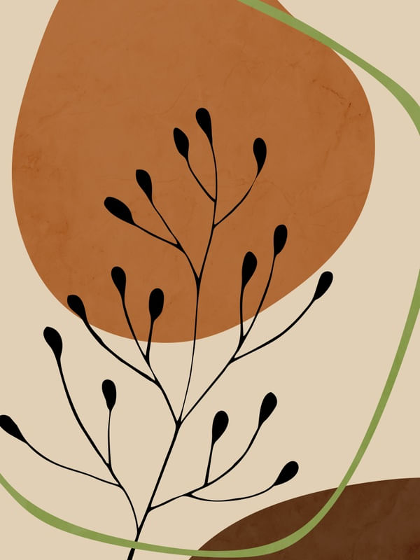 BOTANICA MINIMALISTA 4