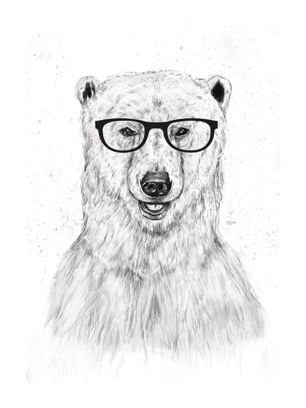 GEEK BEAR II