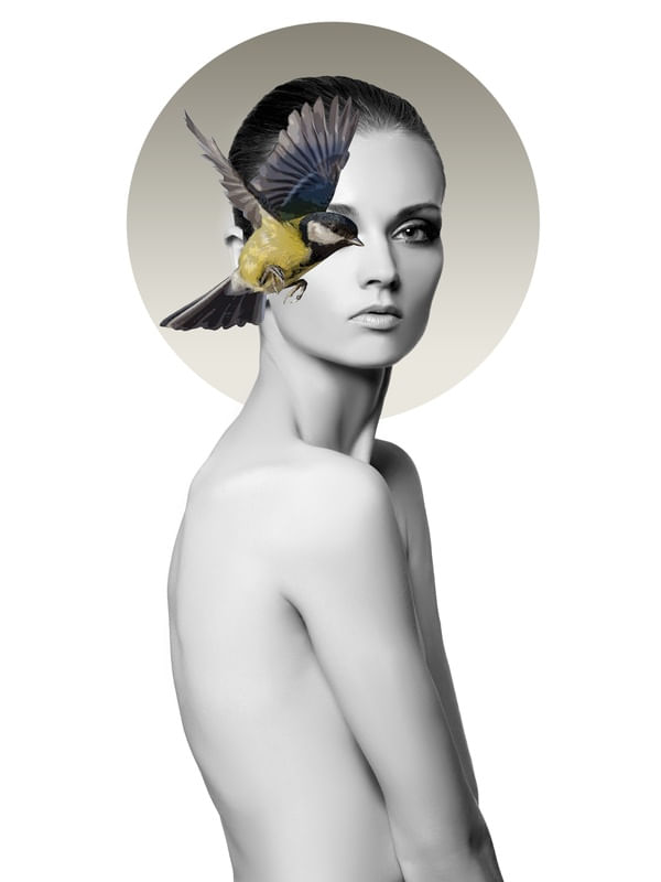 BIRDS DS 001