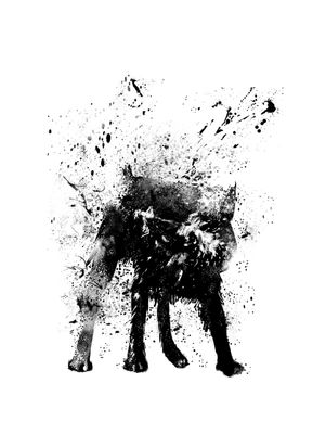 WET DOG