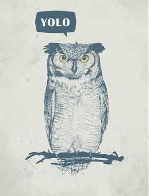 YOLO