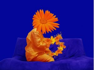 TANGERINAS 4