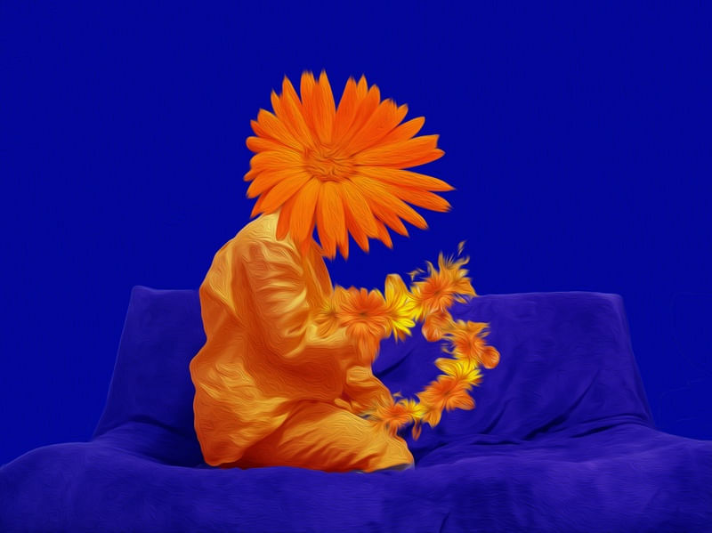 TANGERINAS 4