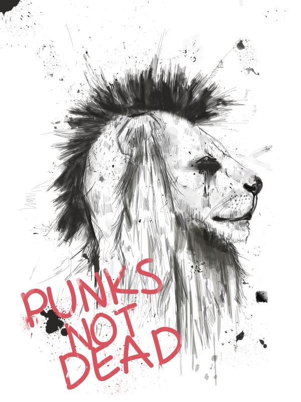 PUNKS NOT DEAD