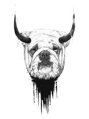 REAL BULLDOG