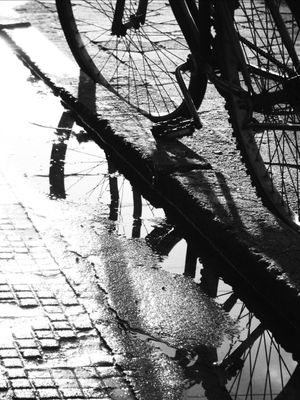 BIKE REFLEXO