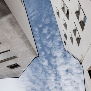 CÉU DE COLÔNIA