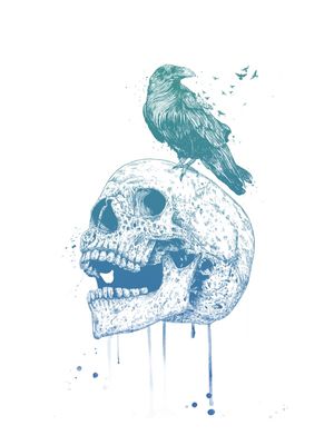 NEW SKULL