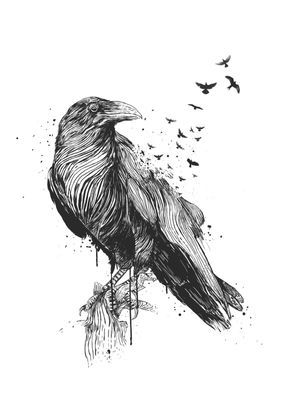 BORN TO BE FREE (BW)