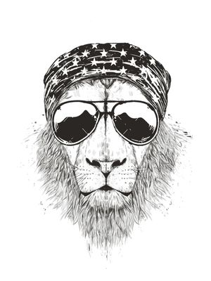 WILD LION (BW)