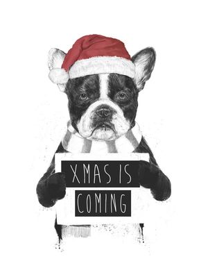XMAS IS COMING