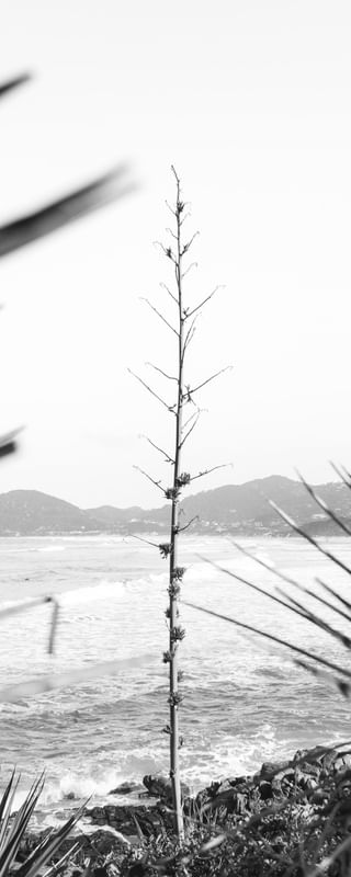 SECRET BEACH