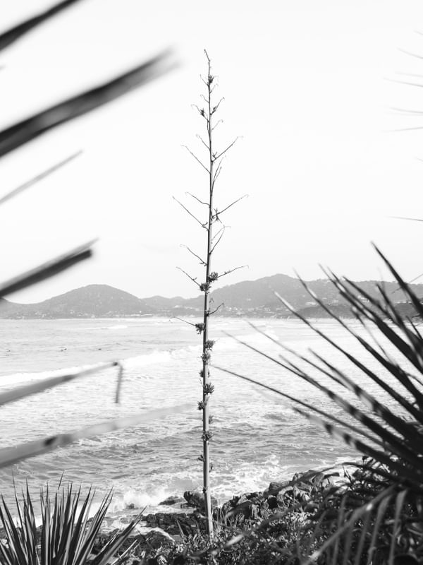 SECRET BEACH 2