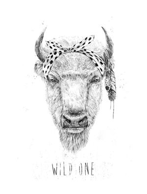 WILD ONE