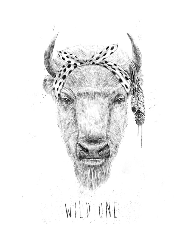 WILD ONE