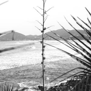 SECRET BEACH 3