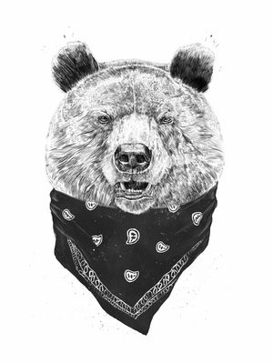 WILD BEAR