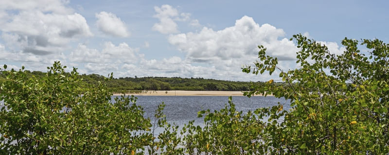 MARÉ - BARRA DO ABIAÍ - PARAÍBA (PANORÂMICO HORIZONTAL) VI