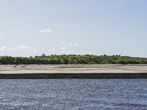 MARÉ - BARRA DO ABIAÍ - PARAÍBA (PAISAGEM) VIII