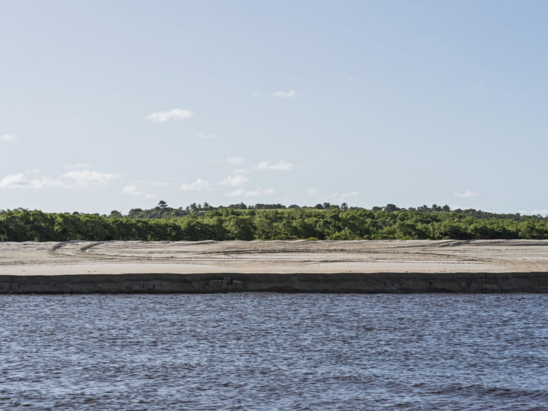 MARÉ - BARRA DO ABIAÍ - PARAÍBA (PAISAGEM) VIII