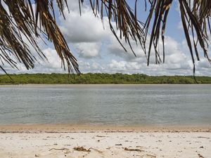 MARÉ - BARRA DO ABIAÍ - PARAÍBA (PAISAGEM) XI
