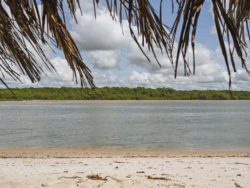 MARÉ - BARRA DO ABIAÍ - PARAÍBA (PAISAGEM) XI