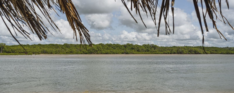 MARÉ - BARRA DO ABIAÍ - PARAÍBA (PANORÂMICO HORIZONTAL) XI