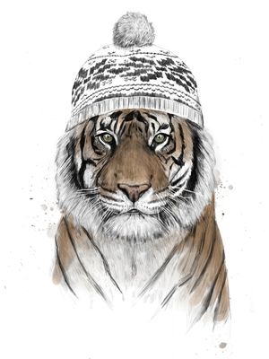 SIBERIAN TIGER