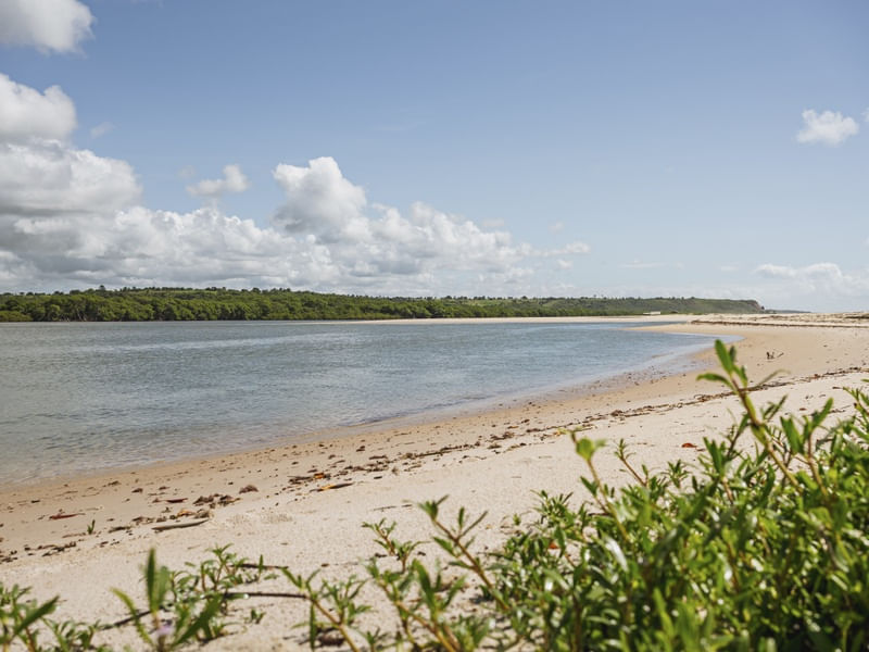 MARÉ - BARRA DO ABIAÍ - PARAÍBA (PAISAGEM) XII