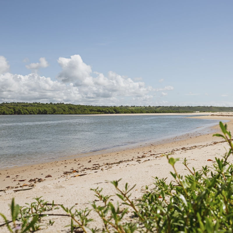MARÉ - BARRA DO ABIAÍ - PARAÍBA (QUADRADO) XII