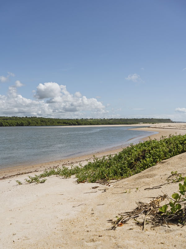 MARÉ - BARRA DO ABIAÍ - PARAÍBA (RETRATO) XIII