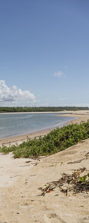 MARÉ - BARRA DO ABIAÍ - PARAÍBA (PANORÂMICO VERTICAL) XIII