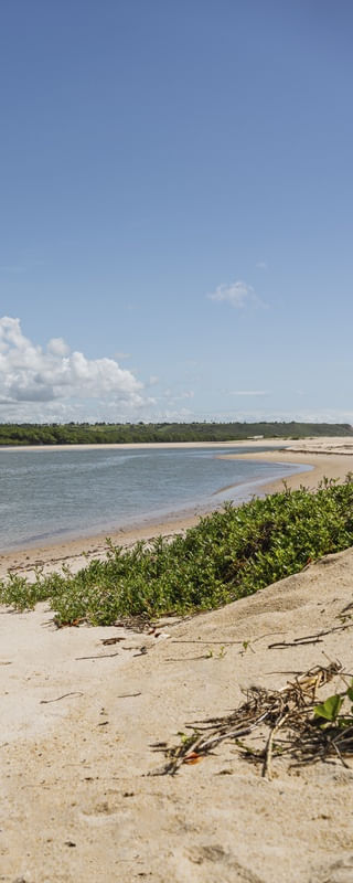 MARÉ - BARRA DO ABIAÍ - PARAÍBA (PANORÂMICO VERTICAL) XIII