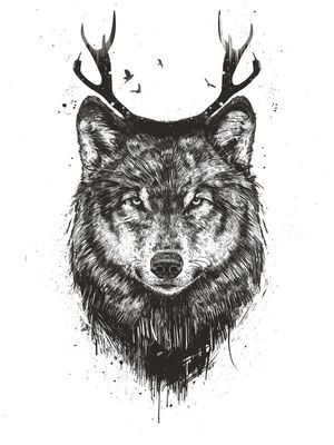DEER WOLF BW