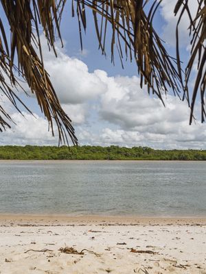 MARÉ - BARRA DO ABIAÍ - PARAÍBA (RETRATO) XIV