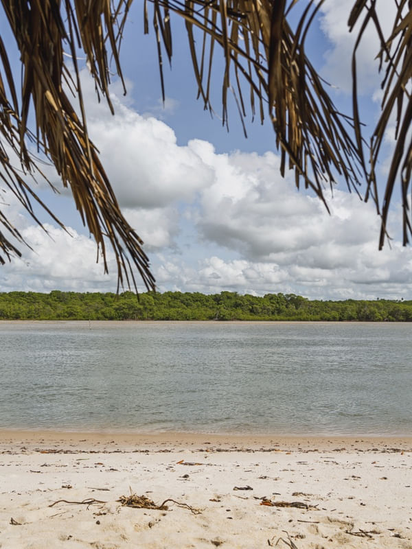 MARÉ - BARRA DO ABIAÍ - PARAÍBA (RETRATO) XIV