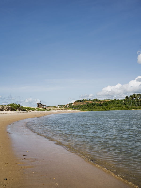 MARÉ - BARRA DO ABIAÍ - PARAÍBA (RETRATO) XV