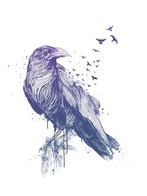 BORN TO BE FREE