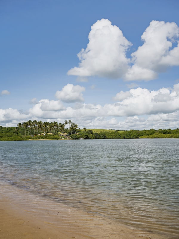 MARÉ - BARRA DO ABIAÍ - PARAÍBA (RETRATO) XVI
