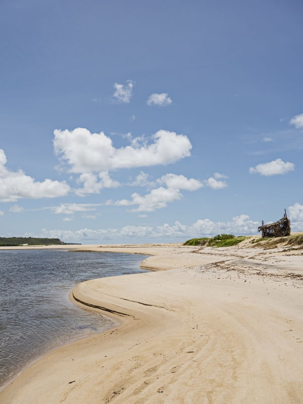MARÉ - BARRA DO ABIAÍ - PARAÍBA (RETRATO) XVII