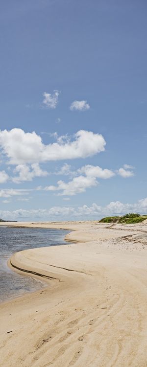 MARÉ - BARRA DO ABIAÍ - PARAÍBA (RETRATO) XVIII