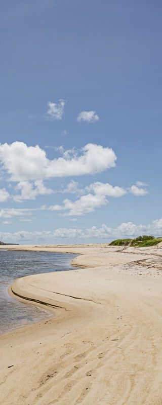 MARÉ - BARRA DO ABIAÍ - PARAÍBA (RETRATO) XVIII