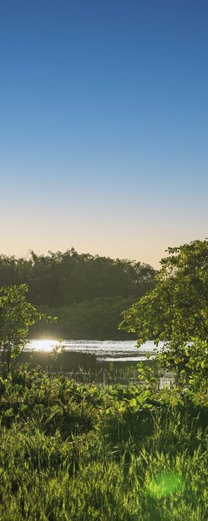 MARÉ - BARRA DO ABIAÍ - PARAÍBA (PANORÂMICO VERTICAL) XIX