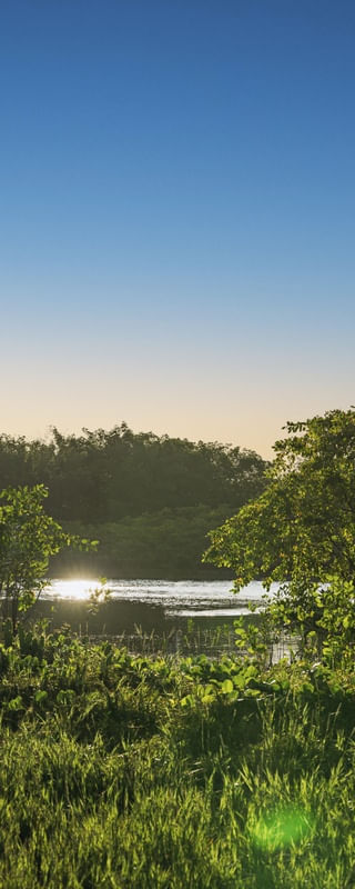 MARÉ - BARRA DO ABIAÍ - PARAÍBA (PANORÂMICO VERTICAL) XIX