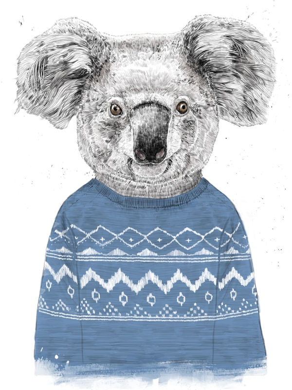 WINTER KOALA