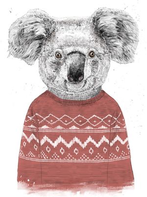 WINTER KOALA (RED)