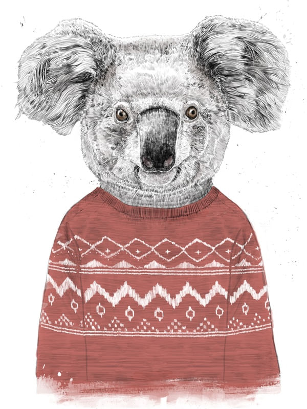 WINTER KOALA (RED)