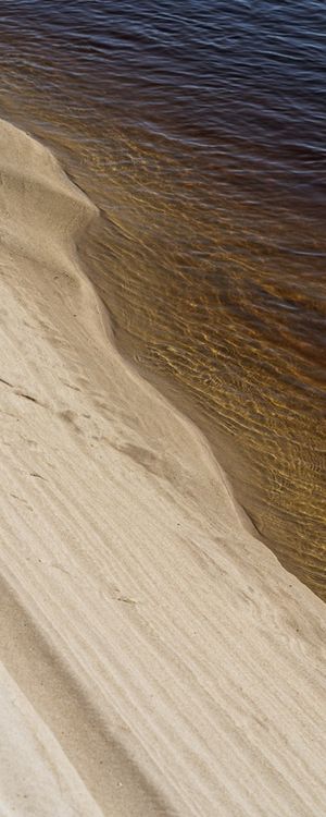 FORMAS NATURAIS VIII (PANORÂMICO VERTICAL)