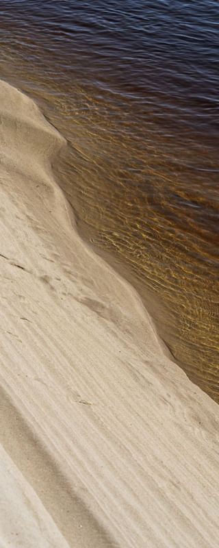 FORMAS NATURAIS VIII (PANORÂMICO VERTICAL)